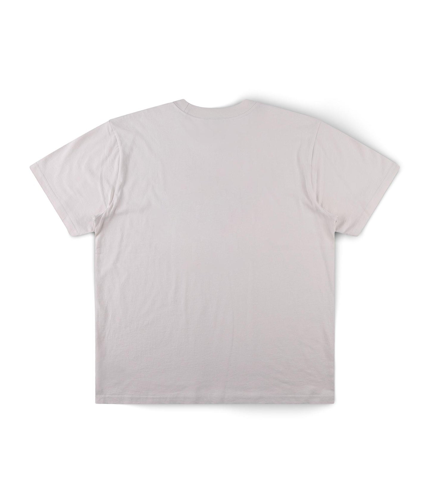 HEAVY FRANCHISE T-SHIRT // BONE