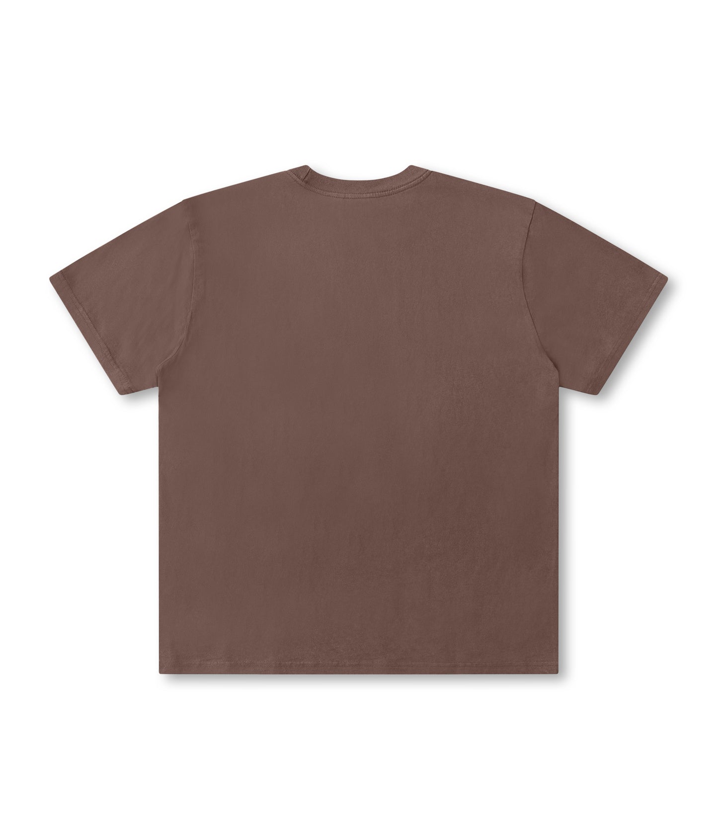 PROSCRIPTION T-SHIRT // WASHED CHOC