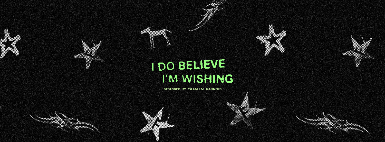 I Do Believe I'm Wishing by Shaun Manners