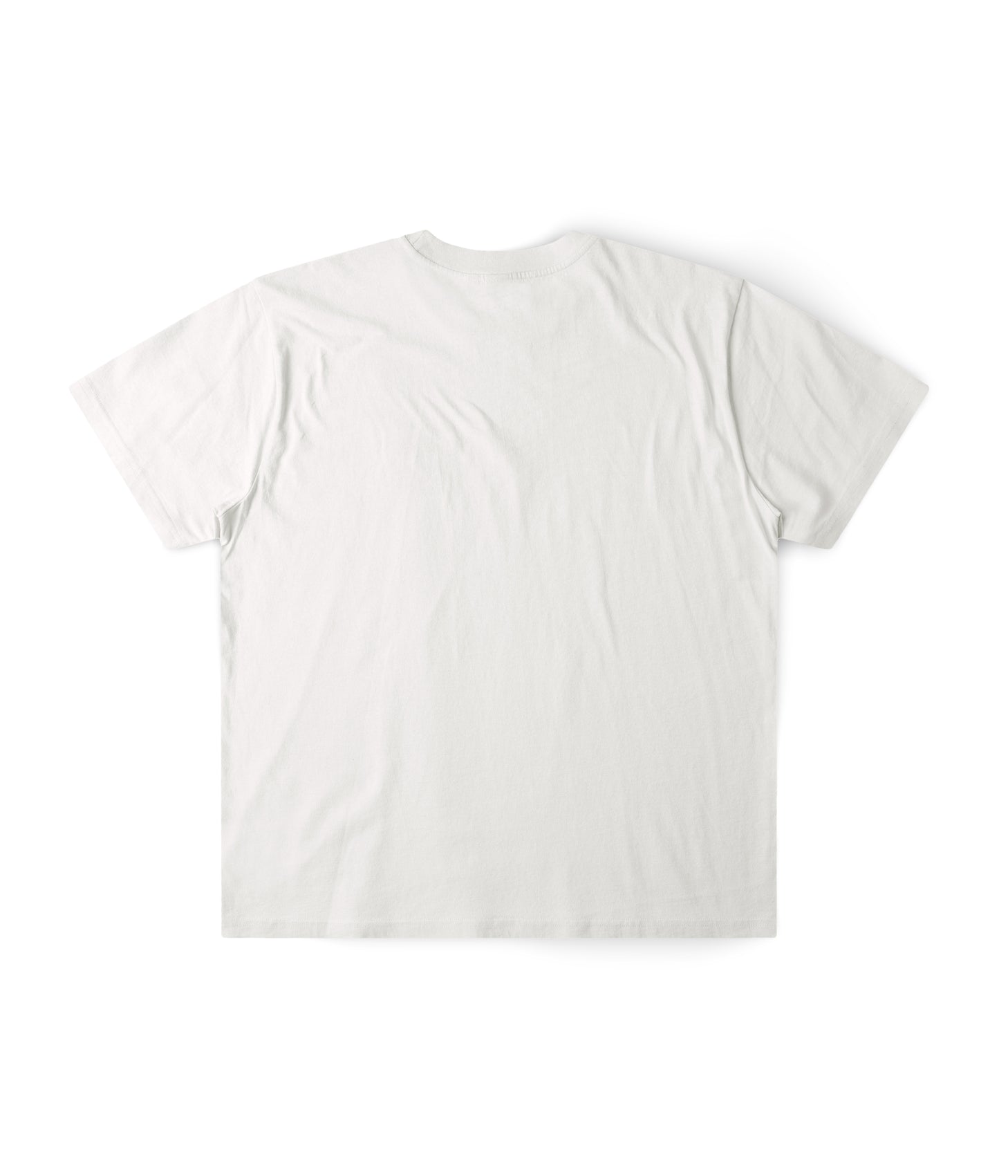 DEFECT BRAIN T-SHIRT // BONE (PRE-ORDER ONLY)