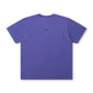 CRUX FRAGMENT // WASHED VIOLET
