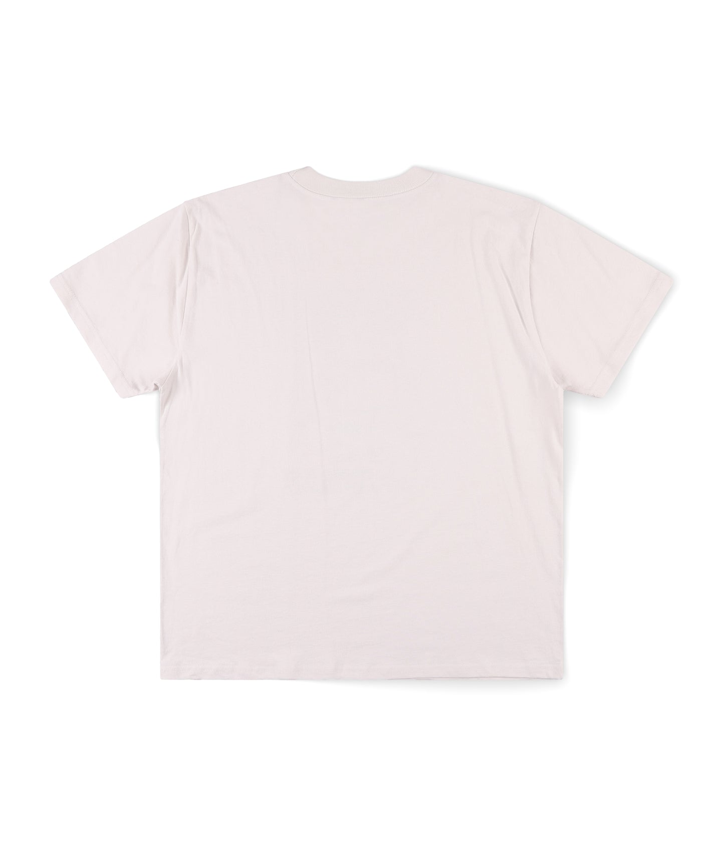 DEVELOPMENT T-SHIRT // BONE