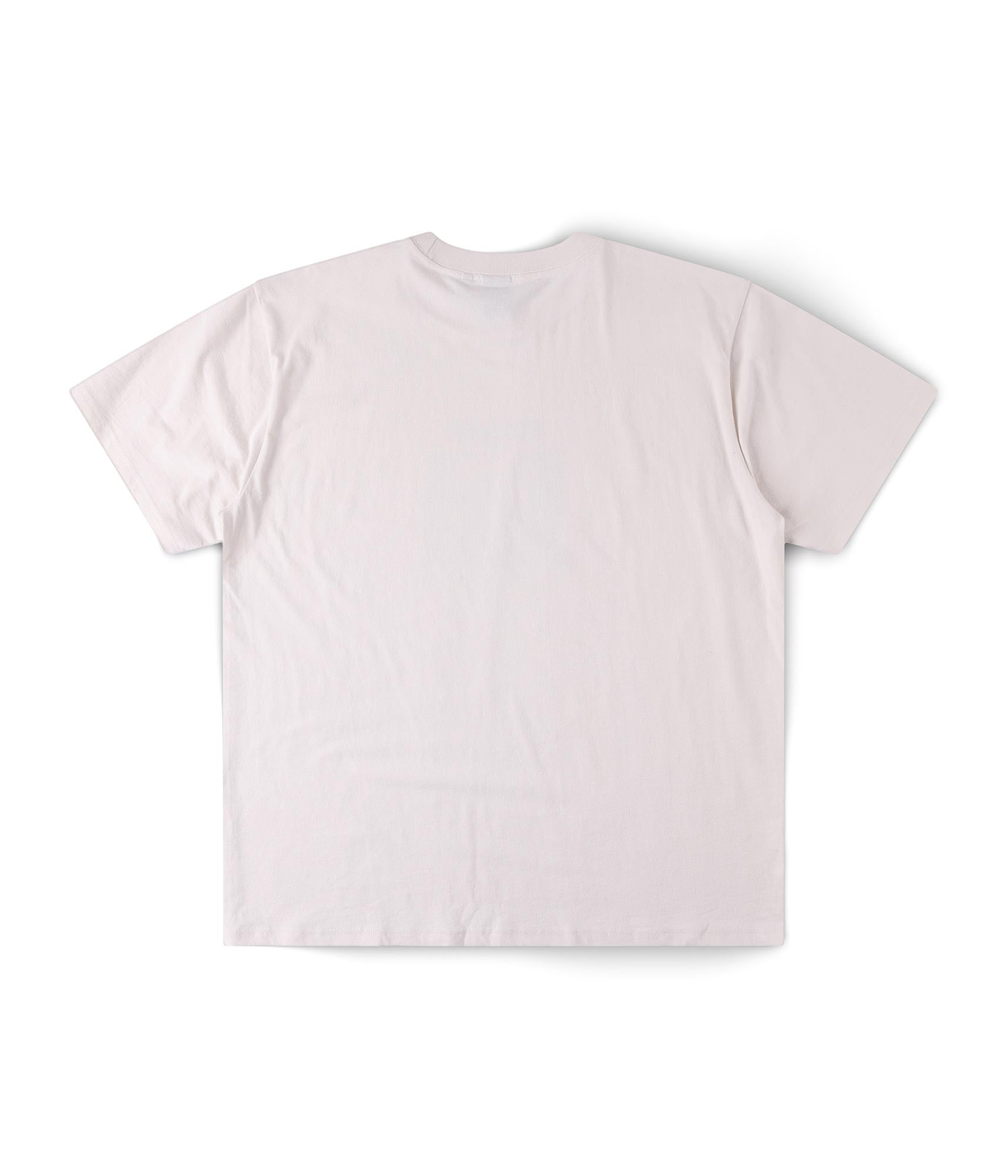 FORMER Rodeo Shrunken T-shirt in Bone - FORMER x RAGE Collection