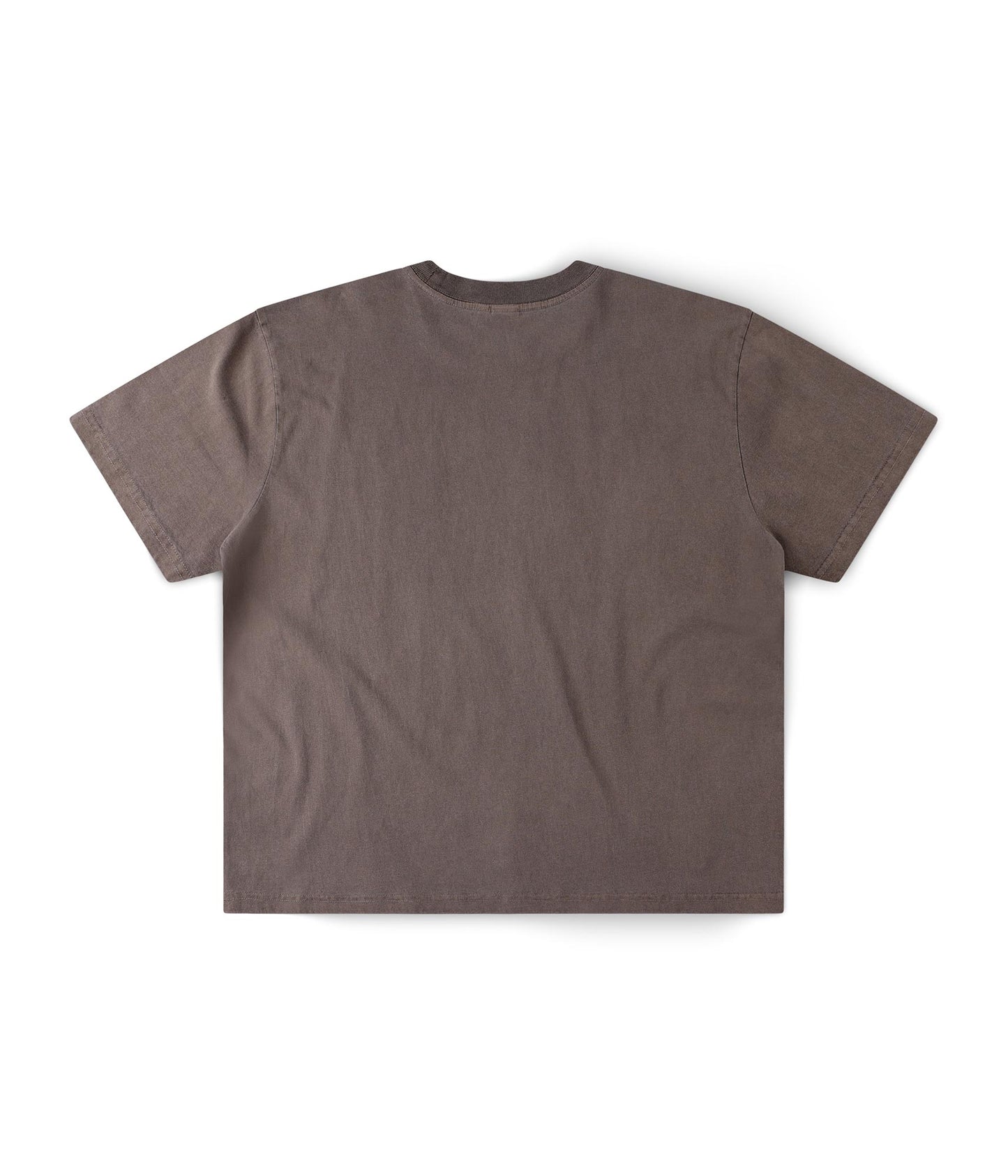 FORMER Ignite Boxy T-shirt in WASHED BROWN - Destroyed By Dane Collection