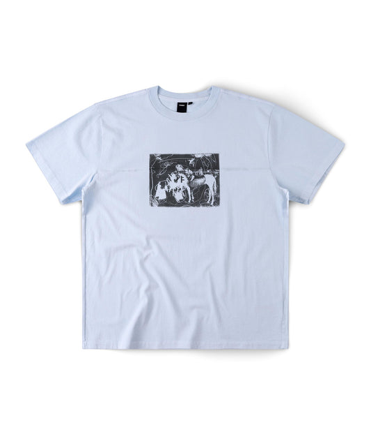 FORMER X-ray T-shirt in WASHED SKY - Destroyed By Dane Collection