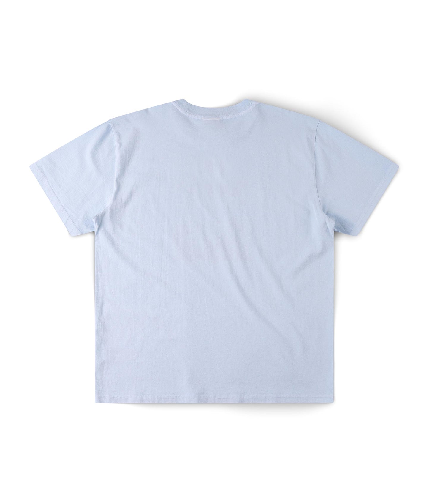 FORMER X-ray T-shirt in WASHED SKY - Destroyed By Dane Collection
