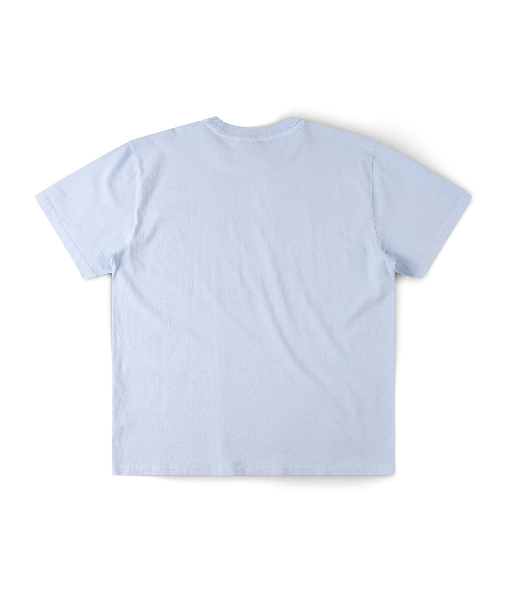 FORMER X-ray T-shirt in WASHED SKY - Destroyed By Dane Collection
