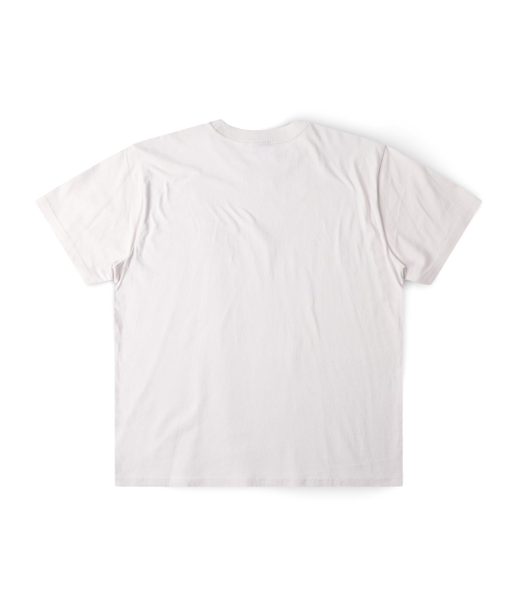 FORMER Grasp T-Shirt in BONE - Pending Approval Collection